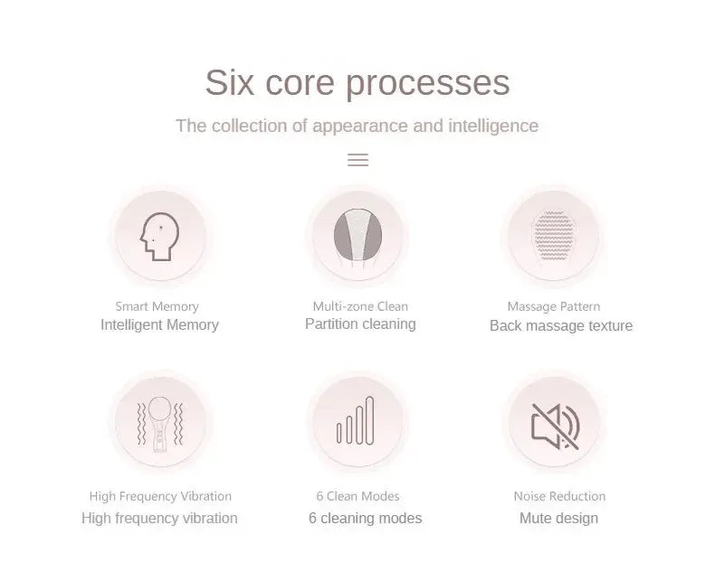 Brosse Nettoyante visage